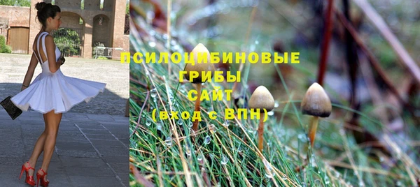 герыч Иннополис