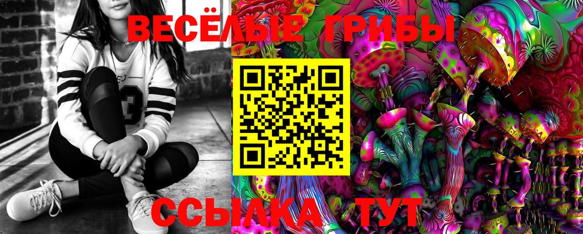 продажа наркотиков  Вход с VPN  Славгород  Галлюциногенные грибы Magic Shrooms 