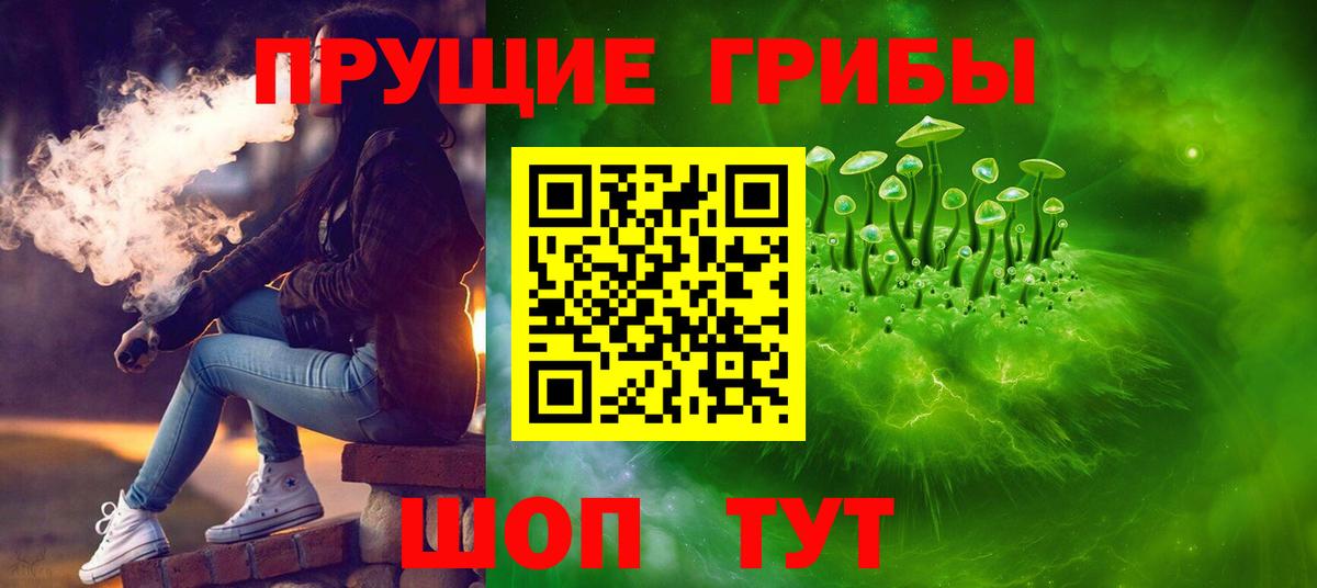 Псилоцибиновые грибы GOLDEN TEACHER  Славгород 